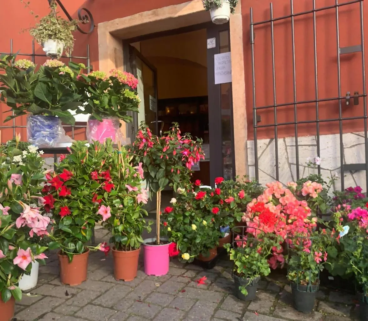 Finale Ligure Gorra Rooms Rosa Di Mare Vicino Al Mare Lontano Dal Caos! Borgio Verezzi Guest house